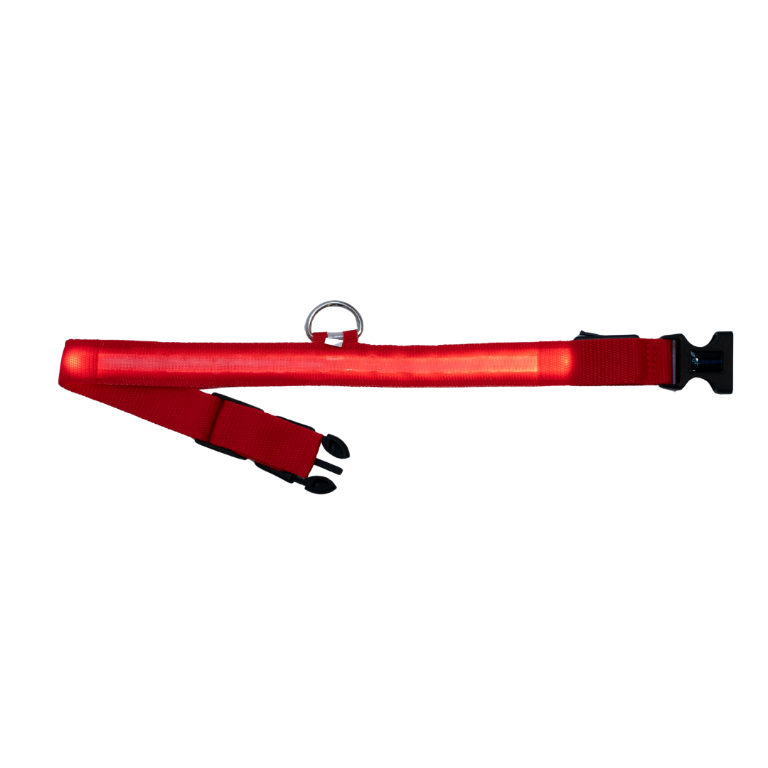 Leuchtendes Halsband