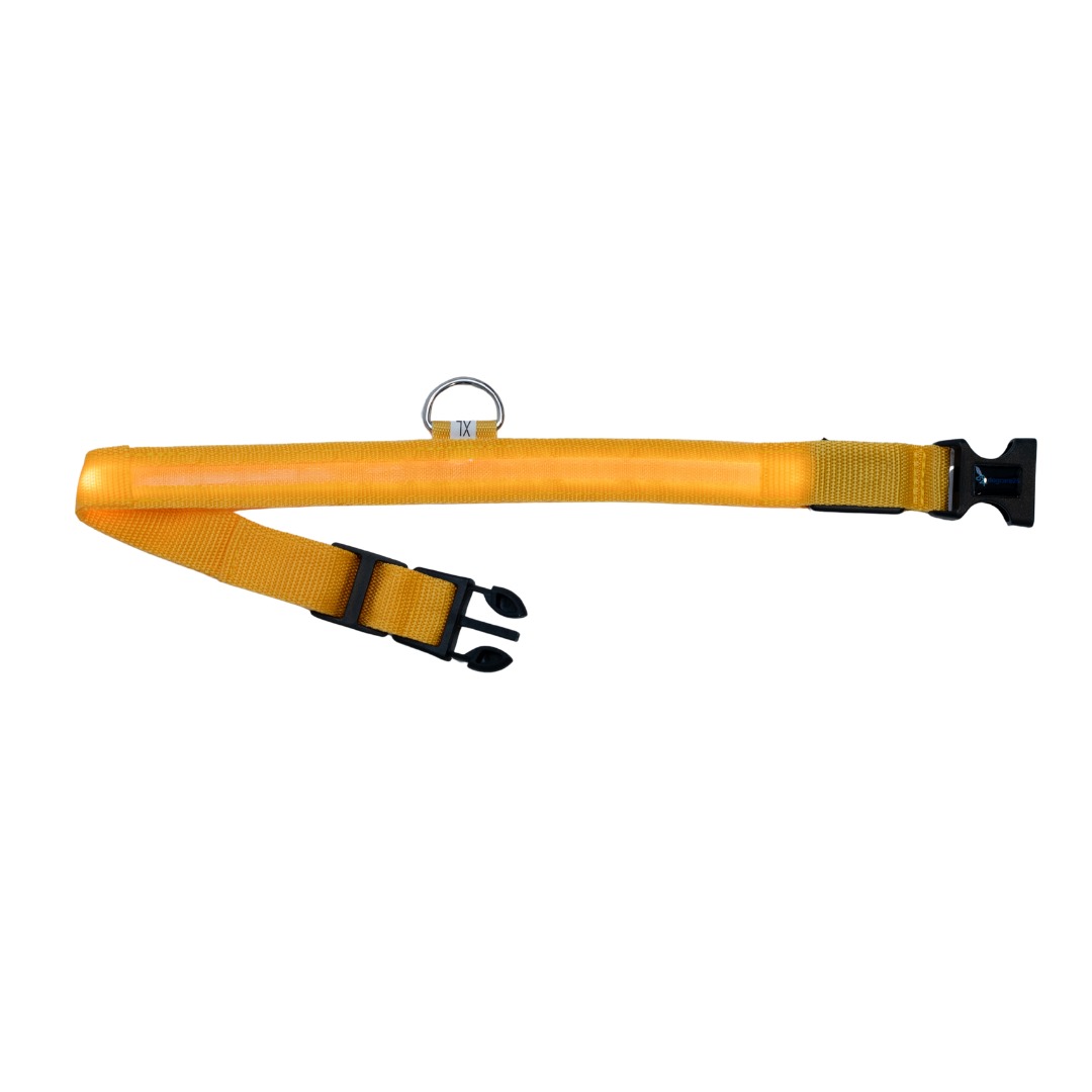 Leuchtendes Halsband