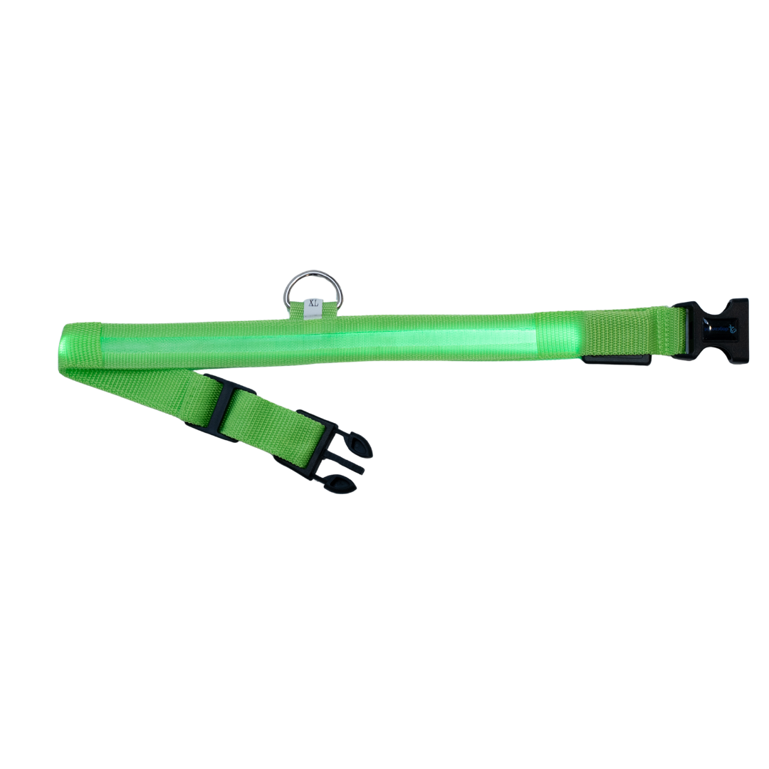 Leuchtendes Halsband