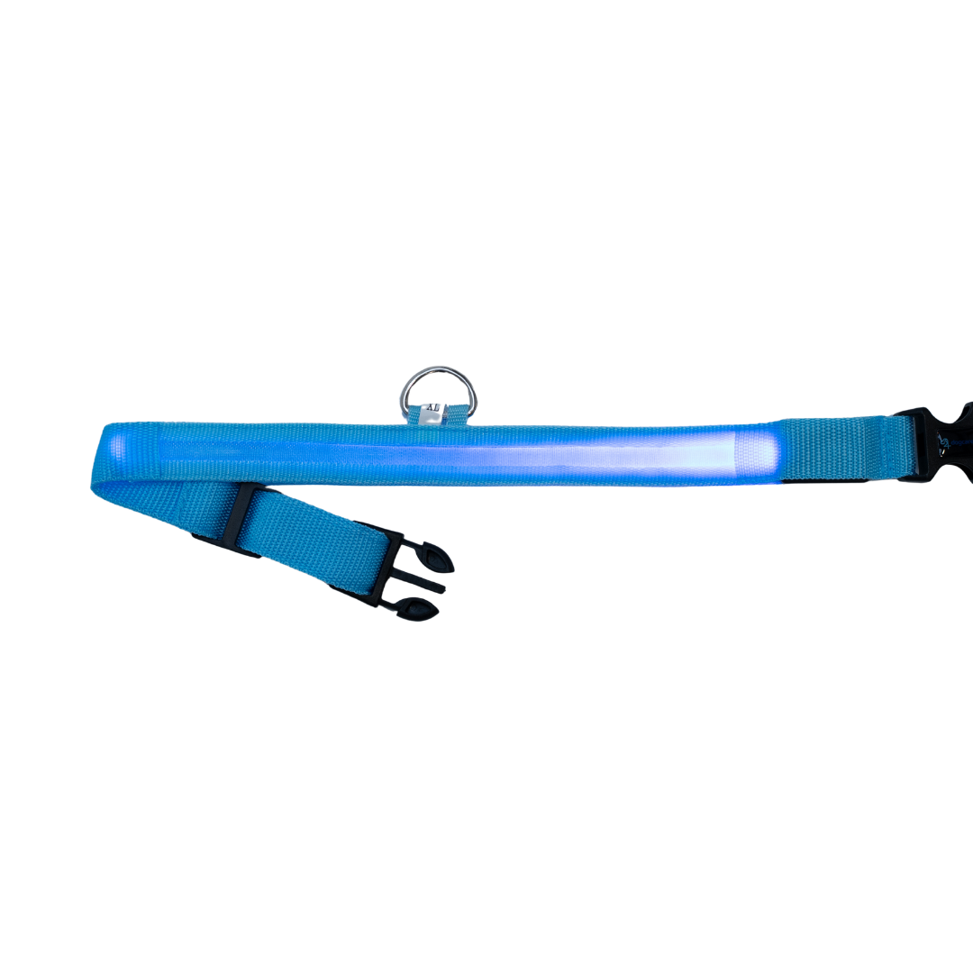 Leuchtendes Halsband