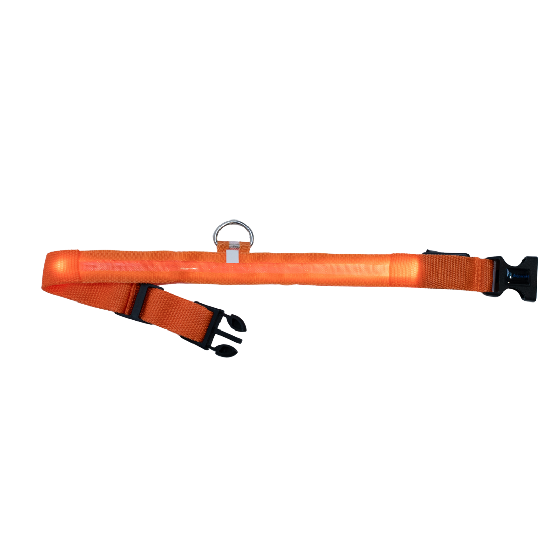 Leuchtendes Halsband