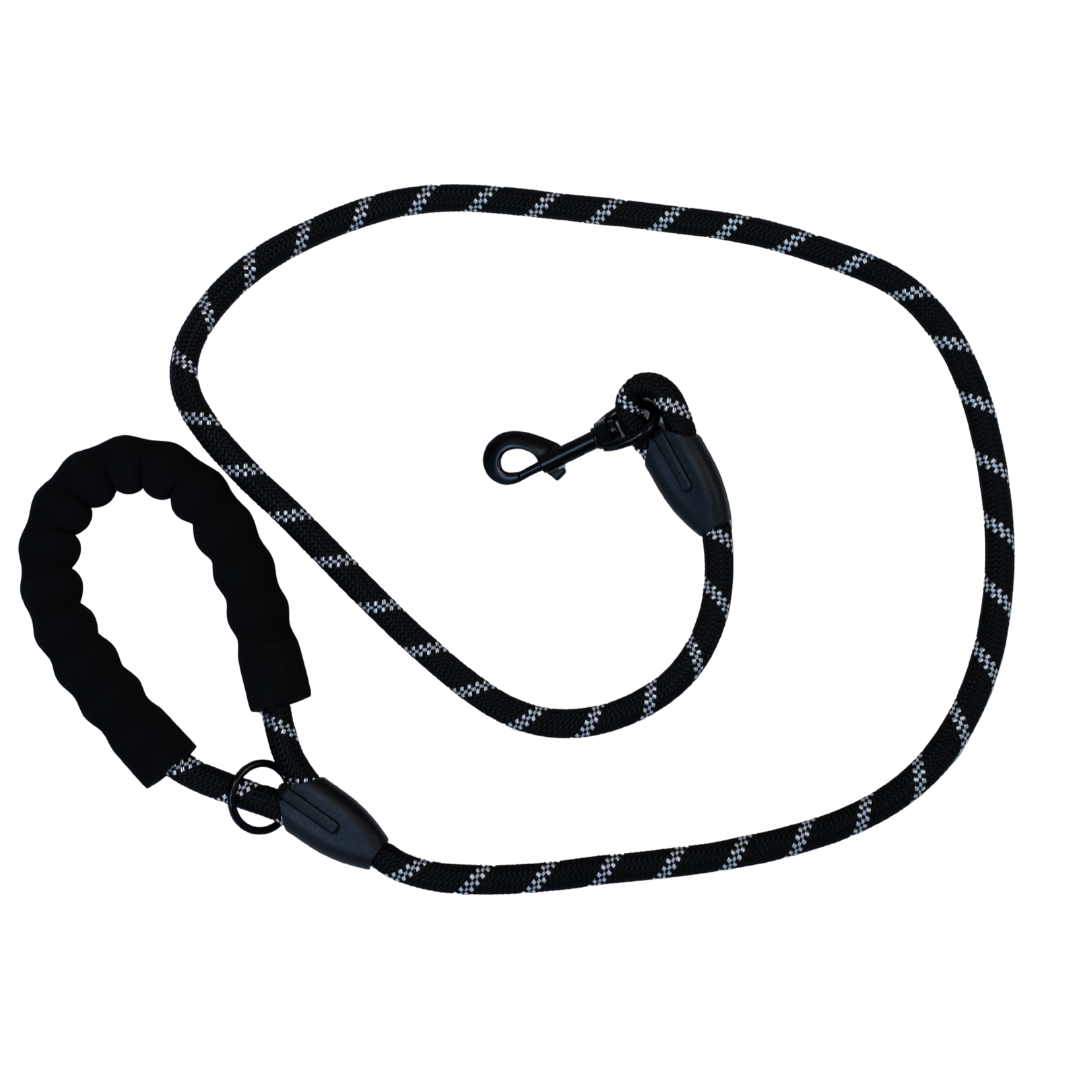 Reflektierende Hundeleine + Hundegeschirr (SET)