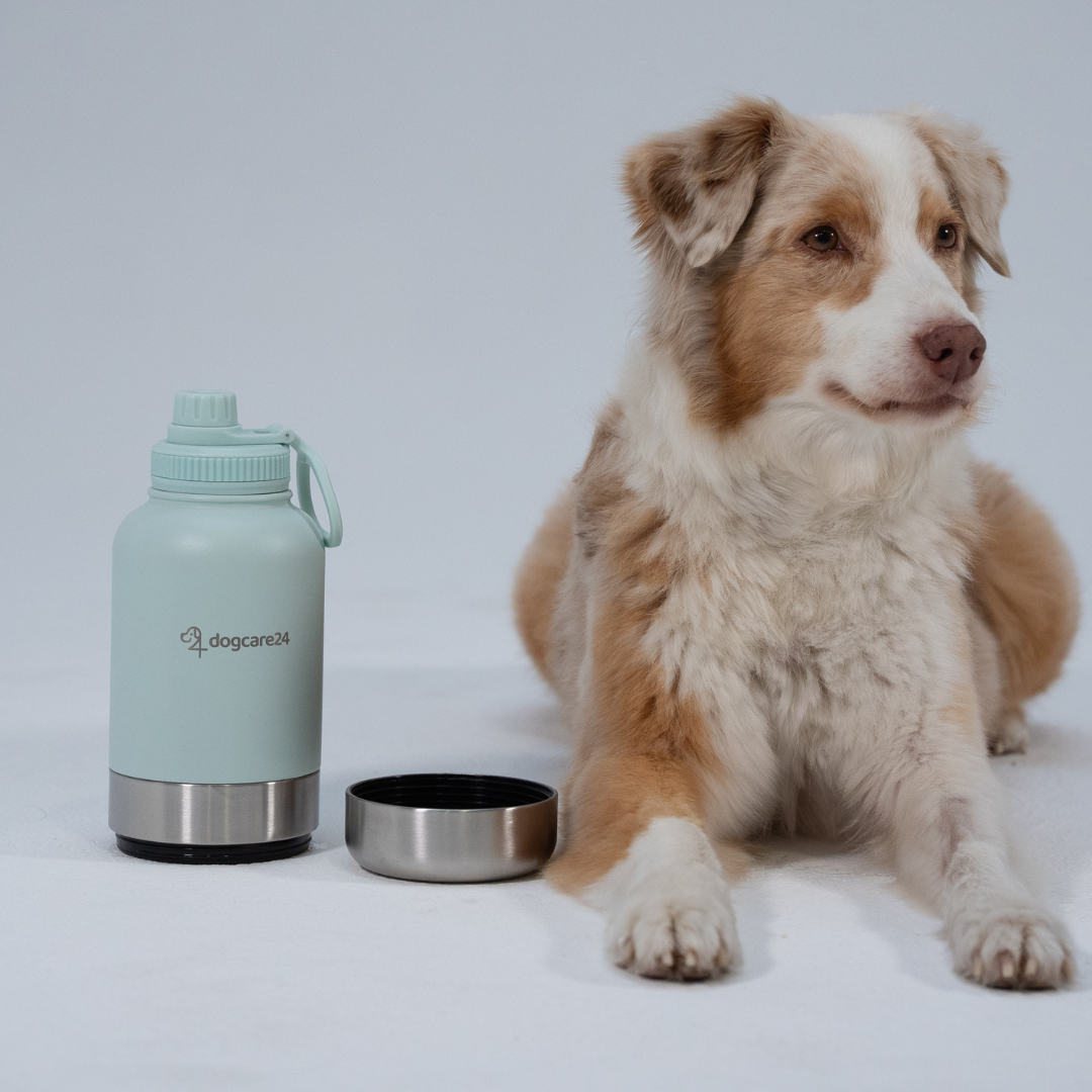 3in1 Bottle – Wasser, Futter & Napf in einem