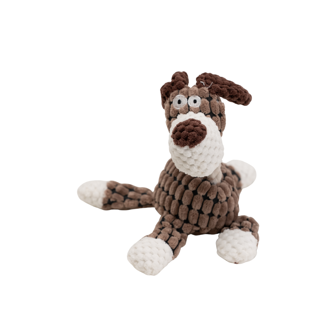 Hund Benni