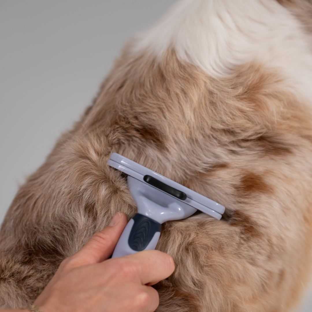 Unterwollkamm für Hunde
