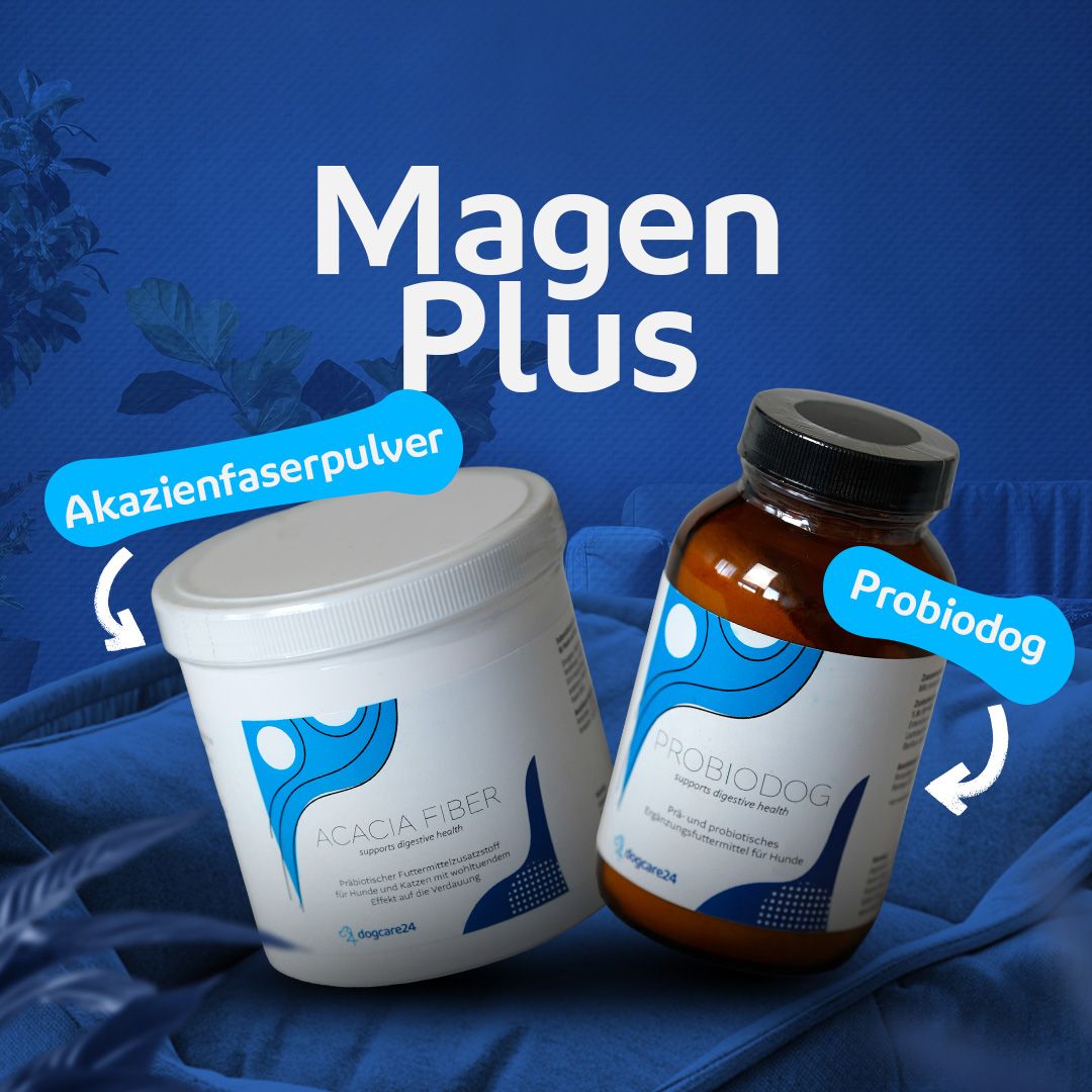 Magen Plus