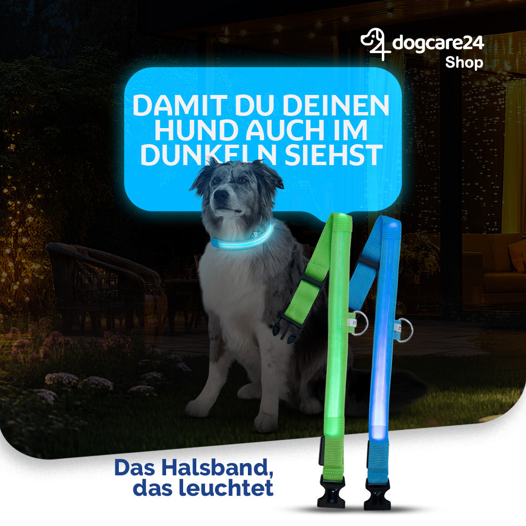 Leuchtendes Halsband