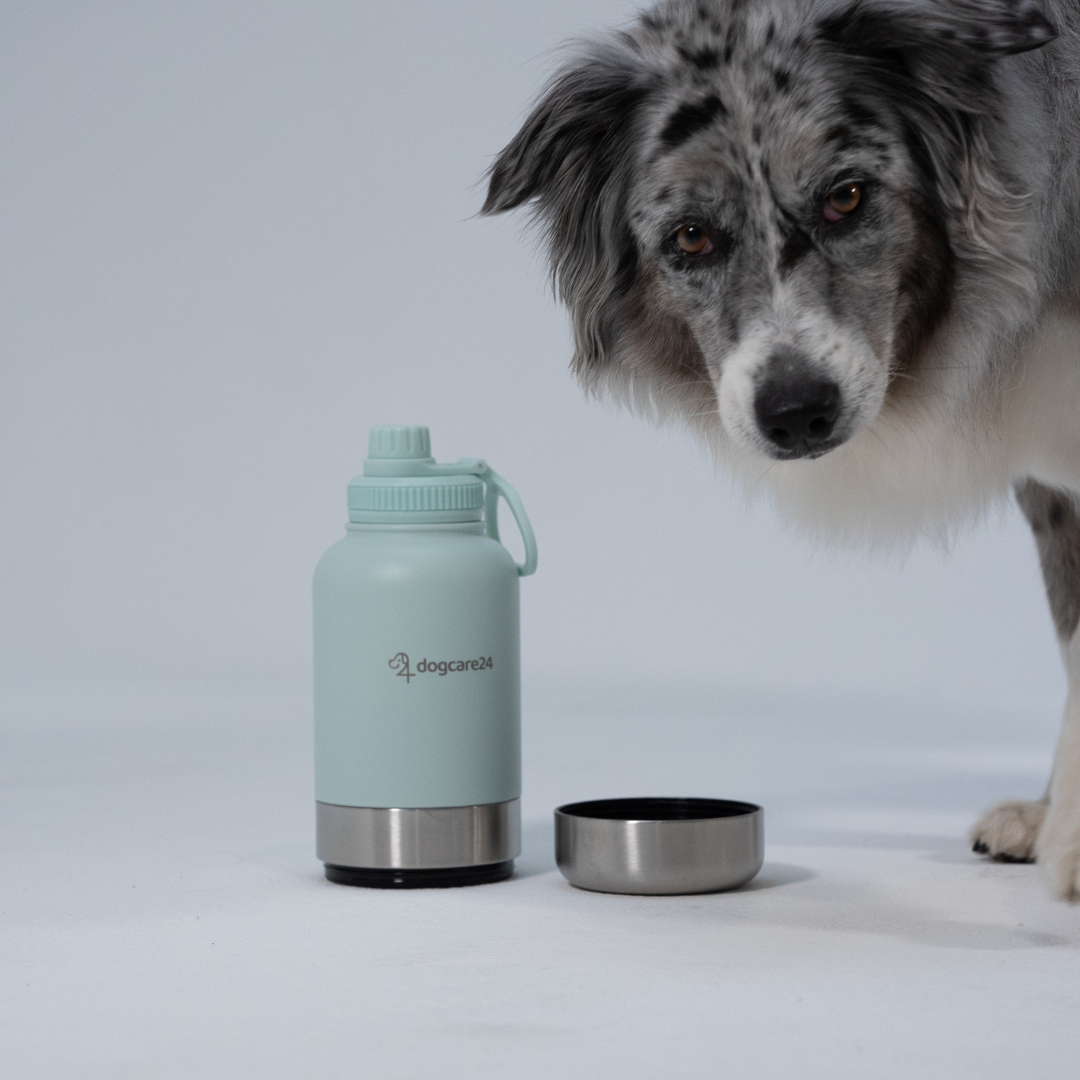 3in1 Bottle – Wasser, Futter & Napf in einem