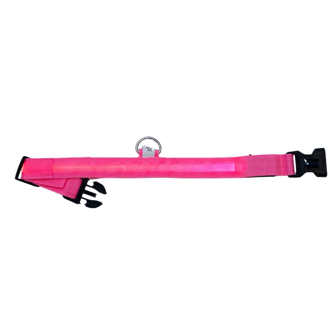Leuchtendes Halsband