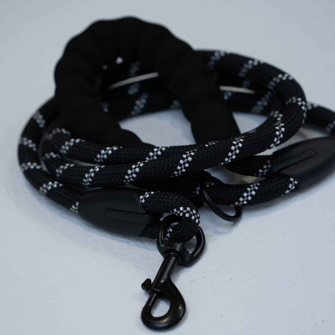 Reflektierende Hundeleine + Hundegeschirr (SET)