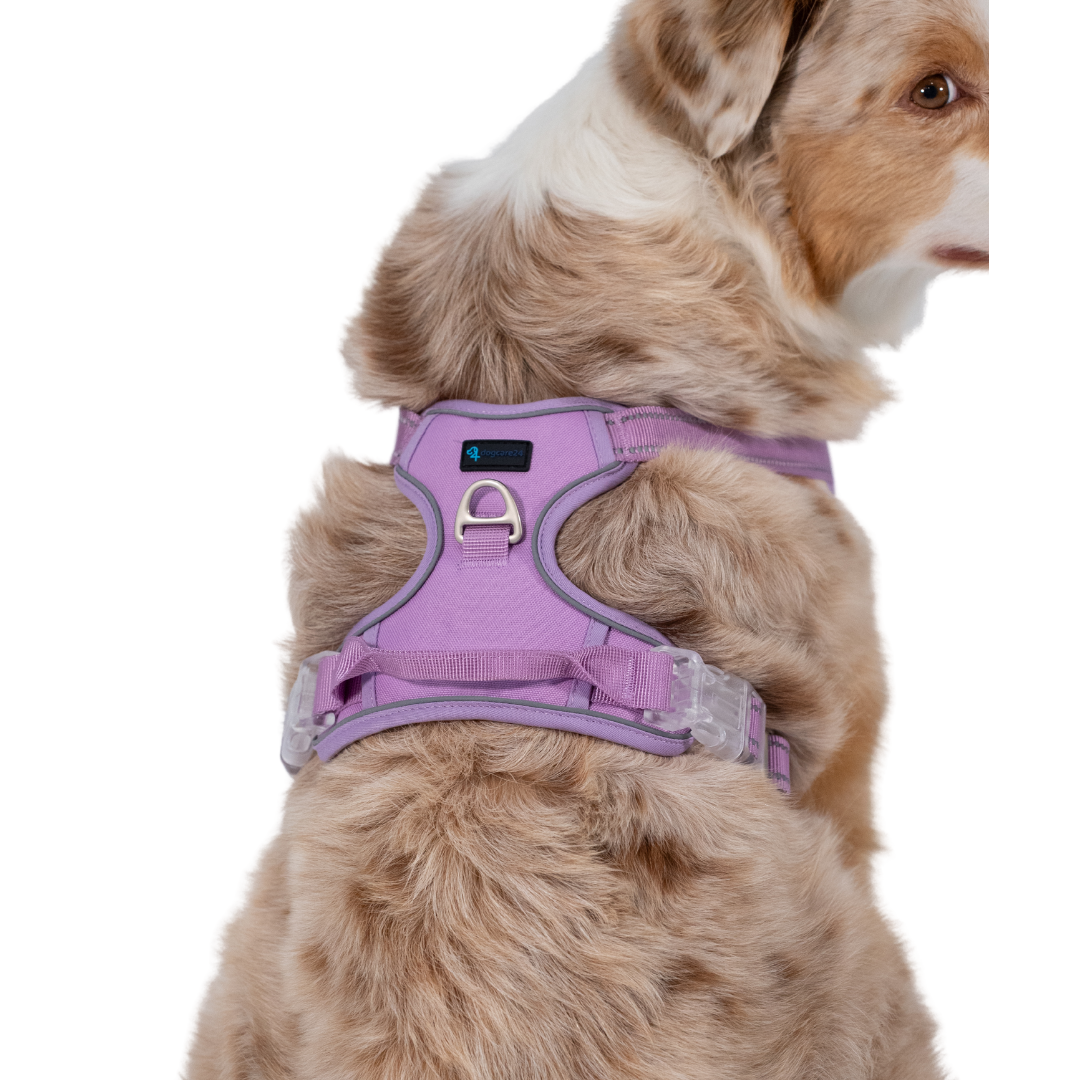Premium Hundegeschirr