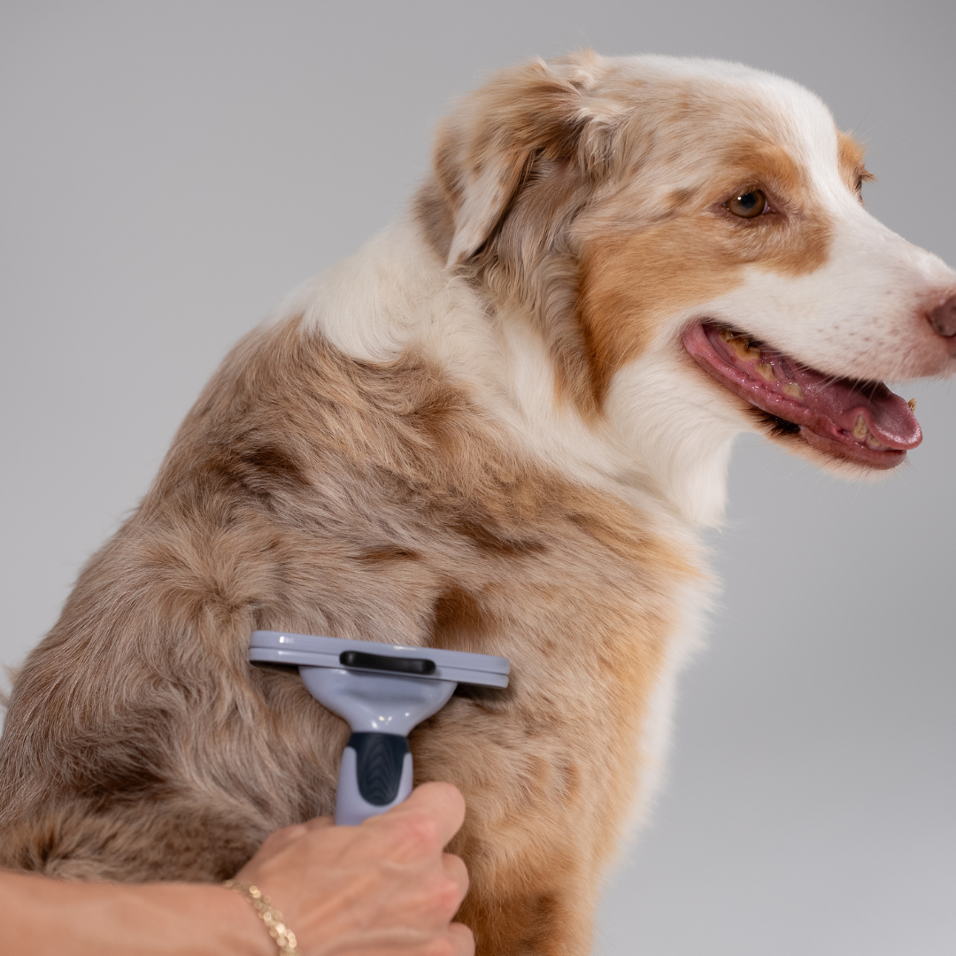Unterwollkamm für Hunde