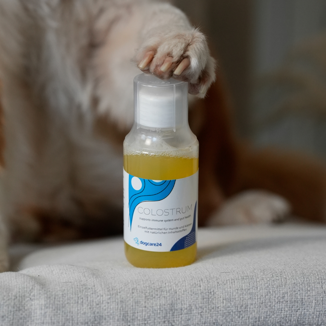 Colostrum - 125ml