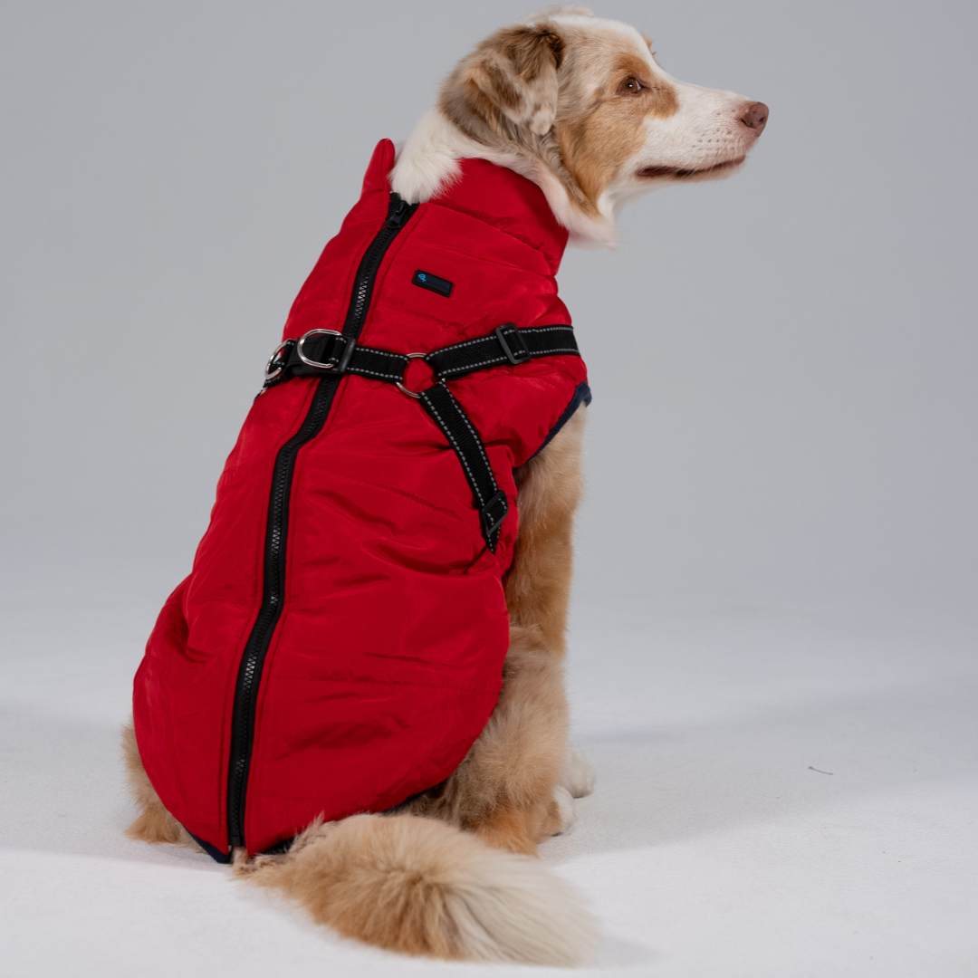 Wasserdichter Hundemantel
