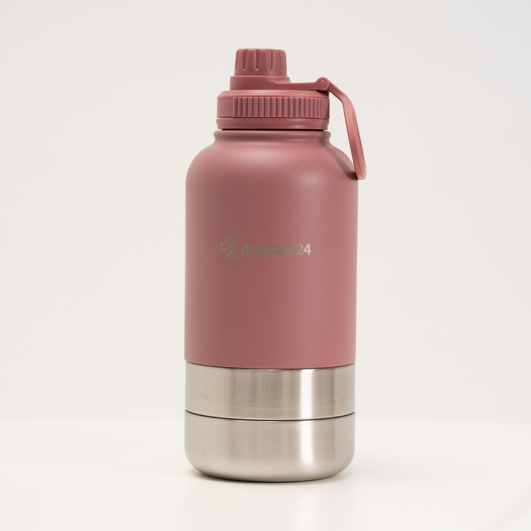 3in1 Bottle – Wasser, Futter & Napf in einem