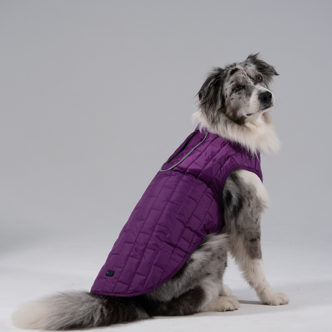 Wasserdichte Hundeweste
