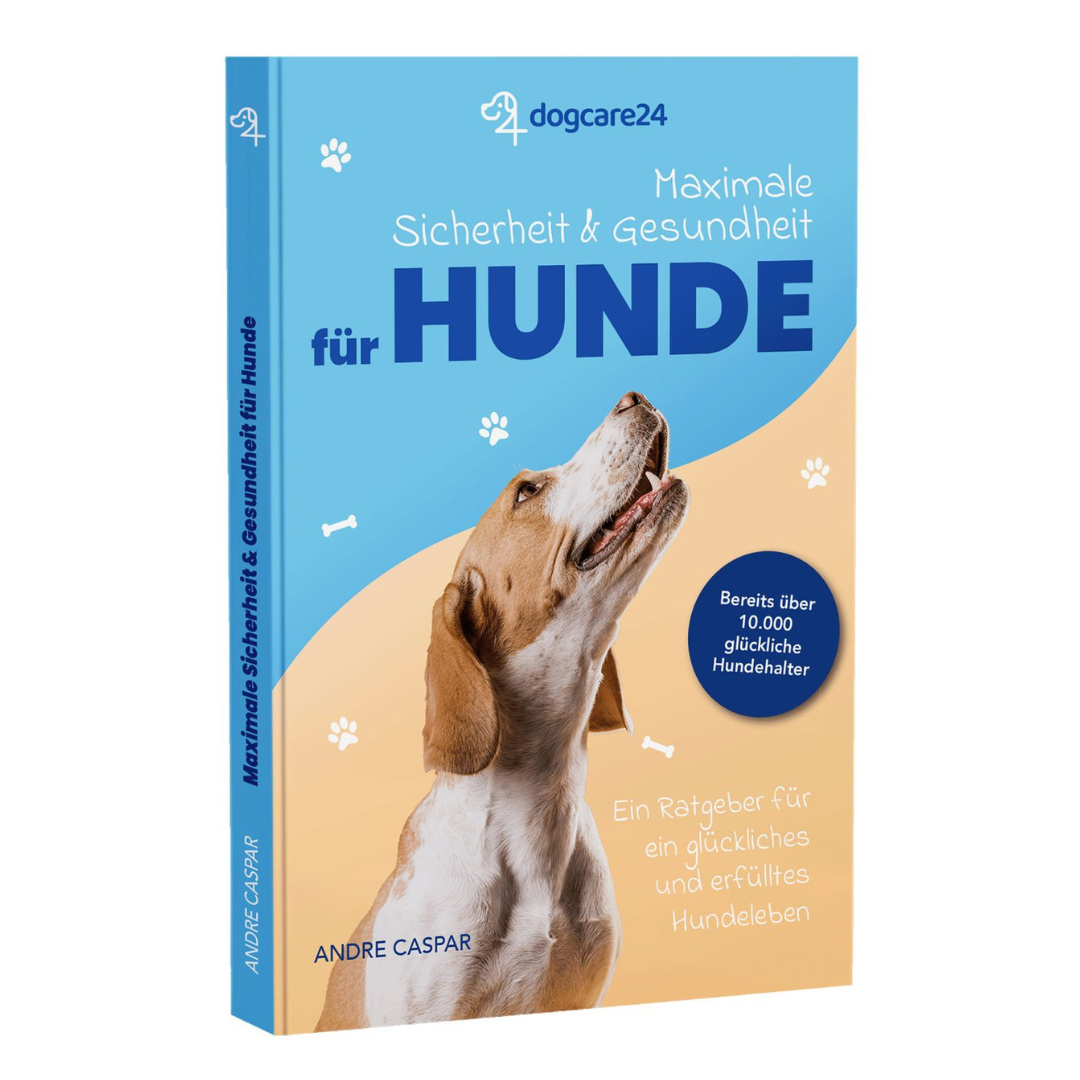 Sicherheit & Gesundheit für Hunde